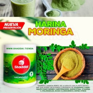 HARINA DE MORINGA SHADDAI
